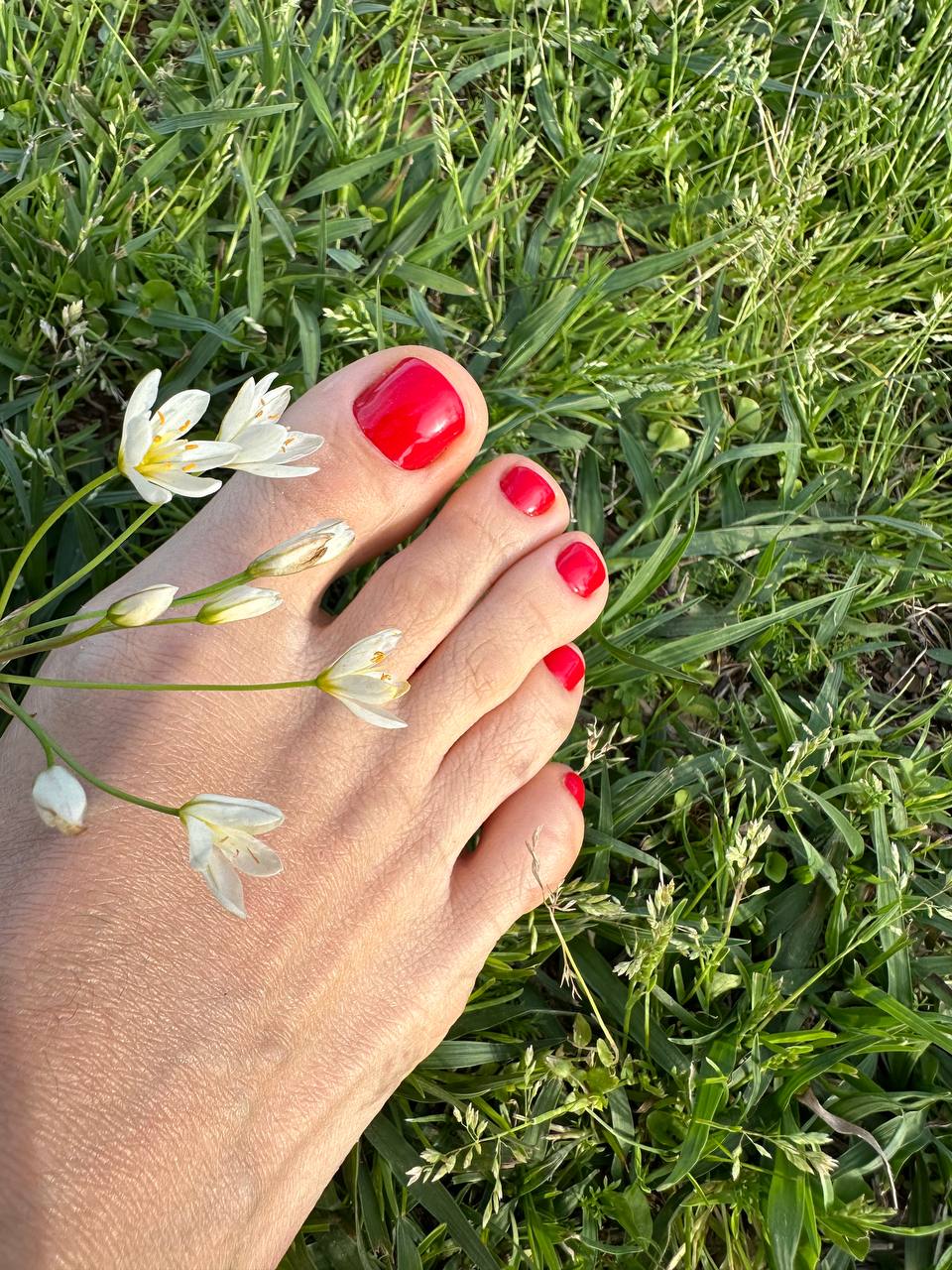 Gel nails Gulf Breeze FL